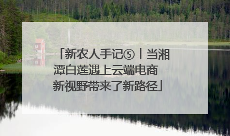 新农人手记⑤丨当湘潭白莲遇上云端电商 新视野带来了新路径