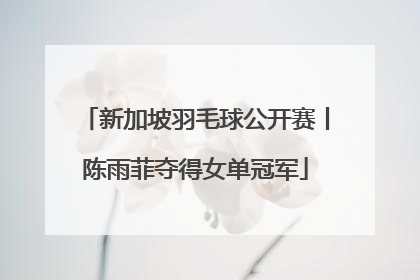 新加坡羽毛球公开赛丨陈雨菲夺得女单冠军