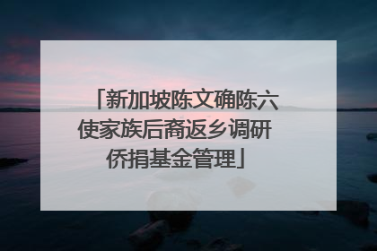 新加坡陈文确陈六使家族后裔返乡调研侨捐基金管理