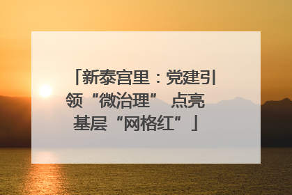 新泰宫里：党建引领“微治理” 点亮基层“网格红”