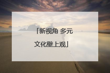 新视角 多元文化壁上观