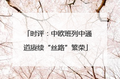 时评：中欧班列中通道赓续“丝路”繁荣