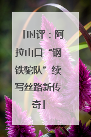 时评：阿拉山口“钢铁驼队”续写丝路新传奇