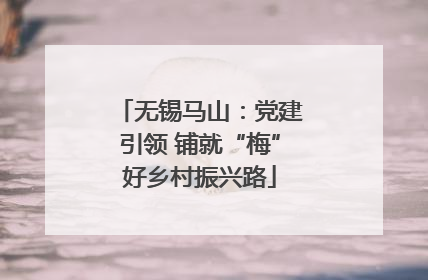 无锡马山：党建引领 铺就“梅”好乡村振兴路