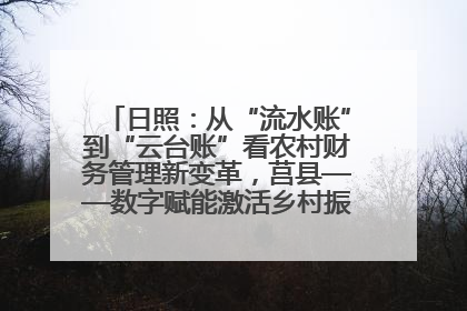 日照：从“流水账”到“云台账”看农村财务管理新变革，莒县——数字赋能激活乡村振兴“一池春水”