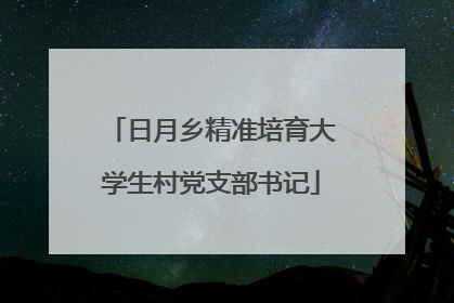 日月乡精准培育大学生村党支部书记