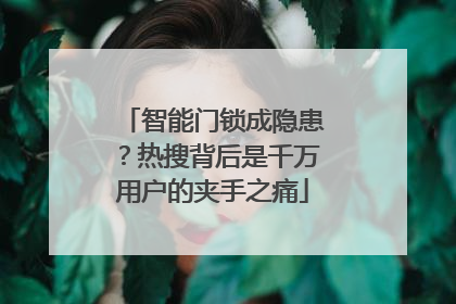 智能门锁成隐患？热搜背后是千万用户的夹手之痛