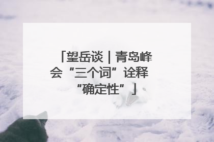 望岳谈｜青岛峰会“三个词”诠释“确定性”