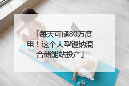 每天可储80万度电！这个大型锂钠混合储能站投产