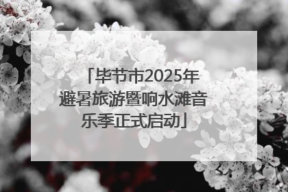 毕节市2025年避暑旅游暨响水滩音乐季正式启动