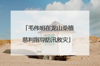 毛伟明在龙山桑植慈利指导防汛救灾