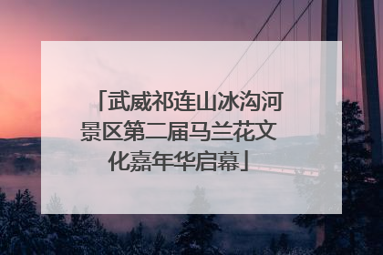 武威祁连山冰沟河景区第二届马兰花文化嘉年华启幕