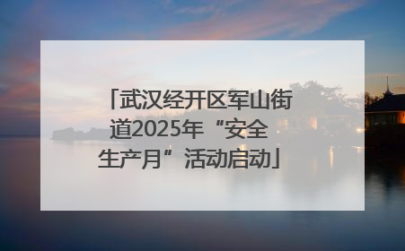 武汉经开区军山街道2025年“安全生产月”活动启动