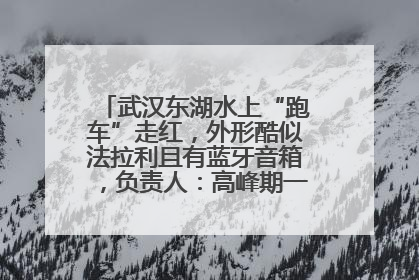 武汉东湖水上“跑车”走红，外形酷似法拉利且有蓝牙音箱，负责人：高峰期一两百人排队