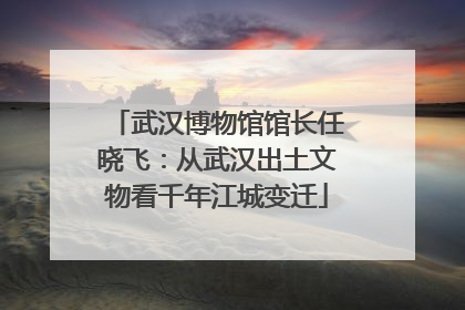 武汉博物馆馆长任晓飞：从武汉出土文物看千年江城变迁