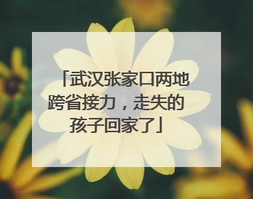 武汉张家口两地跨省接力，走失的孩子回家了