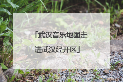 武汉音乐地图走进武汉经开区