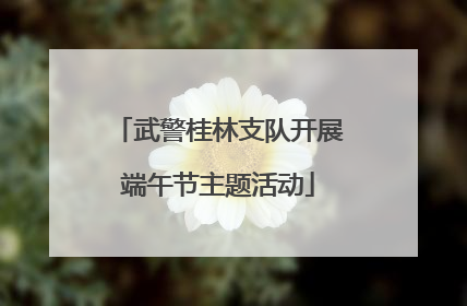 武警桂林支队开展端午节主题活动
