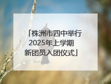 株洲市四中举行2025年上学期新团员入团仪式