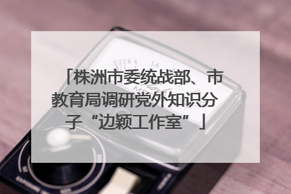 株洲市委统战部、市教育局调研党外知识分子“边颖工作室”