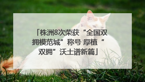 株洲8次荣获“全国双拥模范城”称号 厚植“双拥”沃土谱新篇