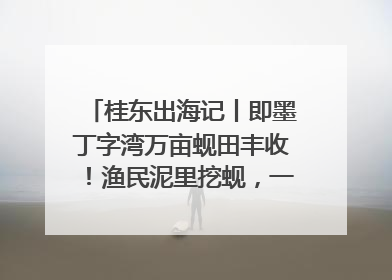 桂东出海记丨即墨丁字湾万亩蚬田丰收！渔民泥里挖蚬，一天上岸过千斤