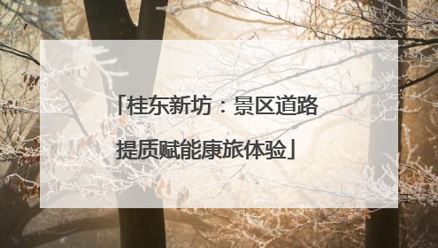 桂东新坊：景区道路提质赋能康旅体验