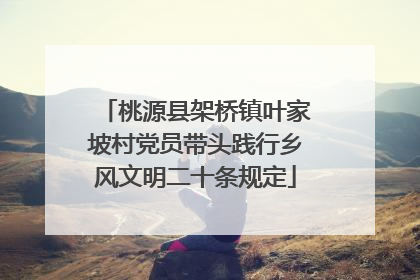 桃源县架桥镇叶家坡村党员带头践行乡风文明二十条规定