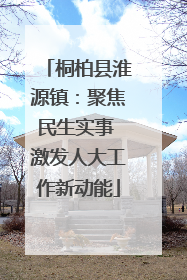 桐柏县淮源镇：聚焦民生实事 激发人大工作新动能