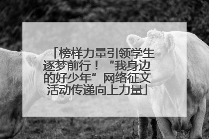 榜样力量引领学生逐梦前行！“我身边的好少年”网络征文活动传递向上力量