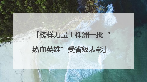 榜样力量！株洲一批“热血英雄”受省级表彰
