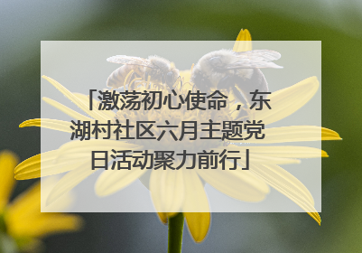 激荡初心使命，东湖村社区六月主题党日活动聚力前行