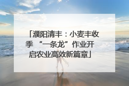 濮阳清丰：小麦丰收季 “一条龙”作业开启农业高效新篇章