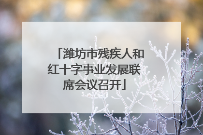 潍坊市残疾人和红十字事业发展联席会议召开