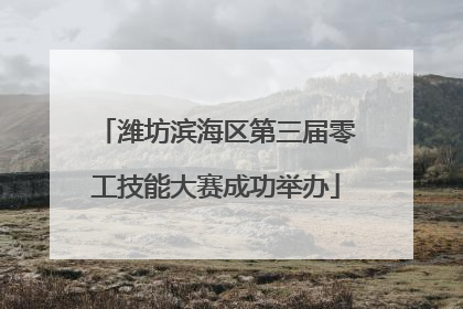 潍坊滨海区第三届零工技能大赛成功举办