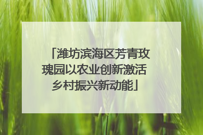 潍坊滨海区芳青玫瑰园以农业创新激活乡村振兴新动能