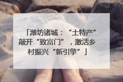 潍坊诸城：“土特产”敲开“致富门”，激活乡村振兴“新引擎”