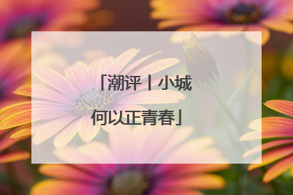 潮评丨小城何以正青春
