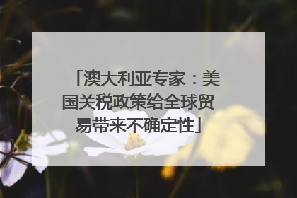 澳大利亚专家：美国关税政策给全球贸易带来不确定性
