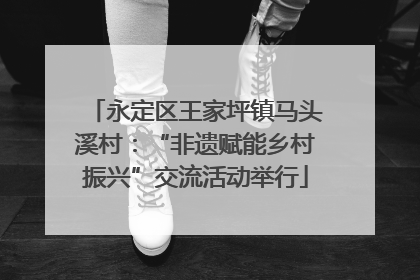 永定区王家坪镇马头溪村：“非遗赋能乡村振兴”交流活动举行