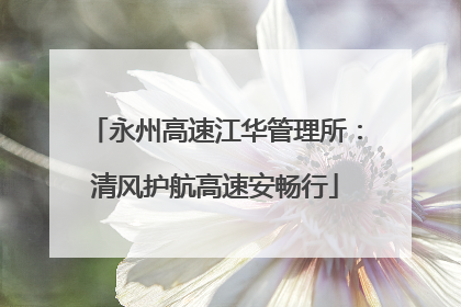 永州高速江华管理所：清风护航高速安畅行