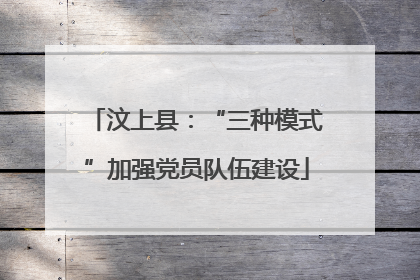 汶上县：“三种模式”加强党员队伍建设