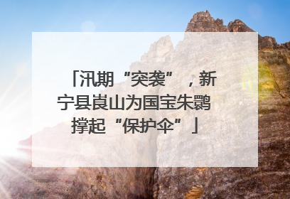 汛期“突袭”，新宁县崀山为国宝朱鹮撑起“保护伞”