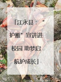 江永县：“护雁”宣讲进校园 助梦启航护成长