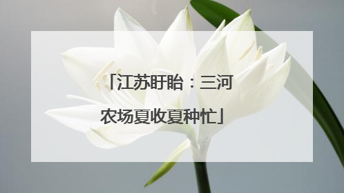 江苏盱眙：三河农场夏收夏种忙