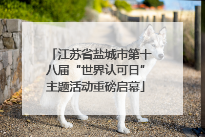 江苏省盐城市第十八届“世界认可日”主题活动重磅启幕
