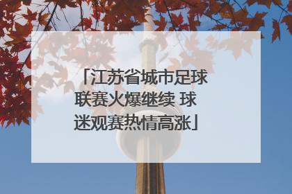 江苏省城市足球联赛火爆继续 球迷观赛热情高涨
