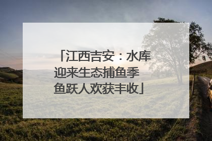 江西吉安：水库迎来生态捕鱼季 鱼跃人欢获丰收