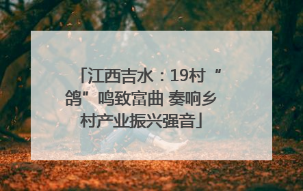 江西吉水：19村“鸽”鸣致富曲 奏响乡村产业振兴强音