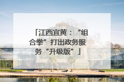 江西宜黄：“组合拳”打出政务服务“升级版”